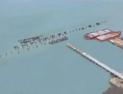 WIKA Rekayasa Konstruksi Dukung Food Estate Wanam Merauke