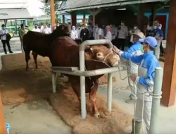 Dari Limbah Sabut Kelapa ke Alas Kandang Higienis, Kolaborasi Lapas Tulungagung dan Balai Besar Inseminasi Buatan (BBIB) Singosari Mendorong Kemandirian