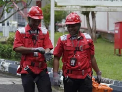 MotoGP Mandalika 2025 Berdampak Positif bagi Ekonomi Lokal, Telkom Andil Perkuat Akses Konektivitas Internet