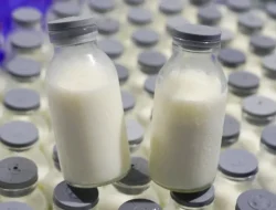 Dari Janji Kampanye Jadi Aksi Nyata: Susu untuk Siswa