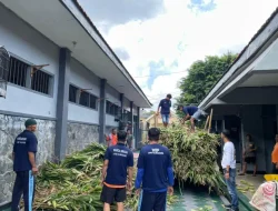 Hijauan Disulap Jadi Silase, Binangun Farm Lapas Tulungagung Wujudkan Bank Pakan Ternak
