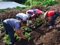 Setahun Bergerak Berdampak: Lapas Narkotika Yogyakarta Konsisten Jalankan 13 Program Akselerasi Menteri Imipas