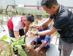 Lapas Purwokerto Tingkatkan Program Ketahanan Pangan, Melalui Pemasangan Papan Tanda dan Perawatan Tanaman Melon