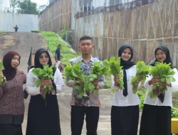 Hijau yang Membebaskan, Sawi dan Kangkung Jadi Simbol Pembinaan di Lapas Cilegon