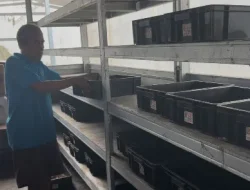 Panen Maggot 30 Kg, Lapas Kelas IIA Cilegon Wujudkan Kemandirian Warga Binaan Lewat Inovasi Ketahanan Pangan