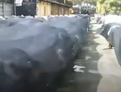 Soal Motor Berlogo BGN, Kepala BGN: “Pengadaan Masuk Anggaran 2025 dan Belum Dibagikan