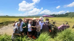 Kolaborasi Pemda Jepara – BRIN – PGN Hasilkan 176 Ton Gabah, Panen Biosalin Jepara Lampaui Target