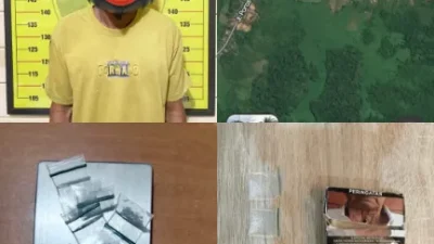 Polsek Muara Muntai Ringkus Pengedar Sabu di Perkebunan Sawit Desa Muara Leka