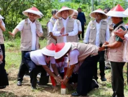 Pasang Patok, Cara Sederhana Cegah Sengketa Tanah dengan Tetangga