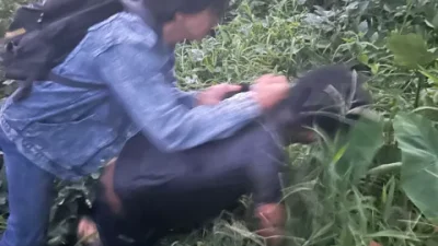 Motor NMAX Raib dari Kos-kosan, Polisi Bongkar Aksi Pelaku Spesialis Rumah Kosong