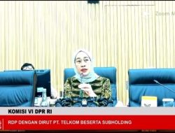 Ketua Komisi VI DPR Dorong Pemerintah Regulasi OTT: Ini Masalah Merah Putih!