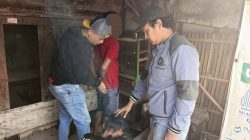 Polsek Teluknaga Gagalkan Peredaran Obat Keras Ilegal, Dua Pengedar Diciduk di Dadap