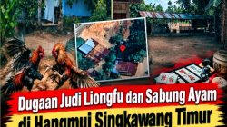 Dugaan Judi Liongfu dan Sabung Ayam di Hangmui Singkawang Timur Kembali Disorot, Warga Desak Aparat Lakukan Pengecekan !!!
