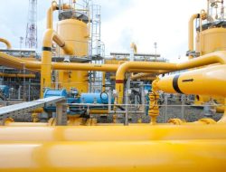 PGN Siap Integrasikan Biomethane Ke Infrastruktur Gas, Dorong Pemanfaatan Energi Rendah Karbon